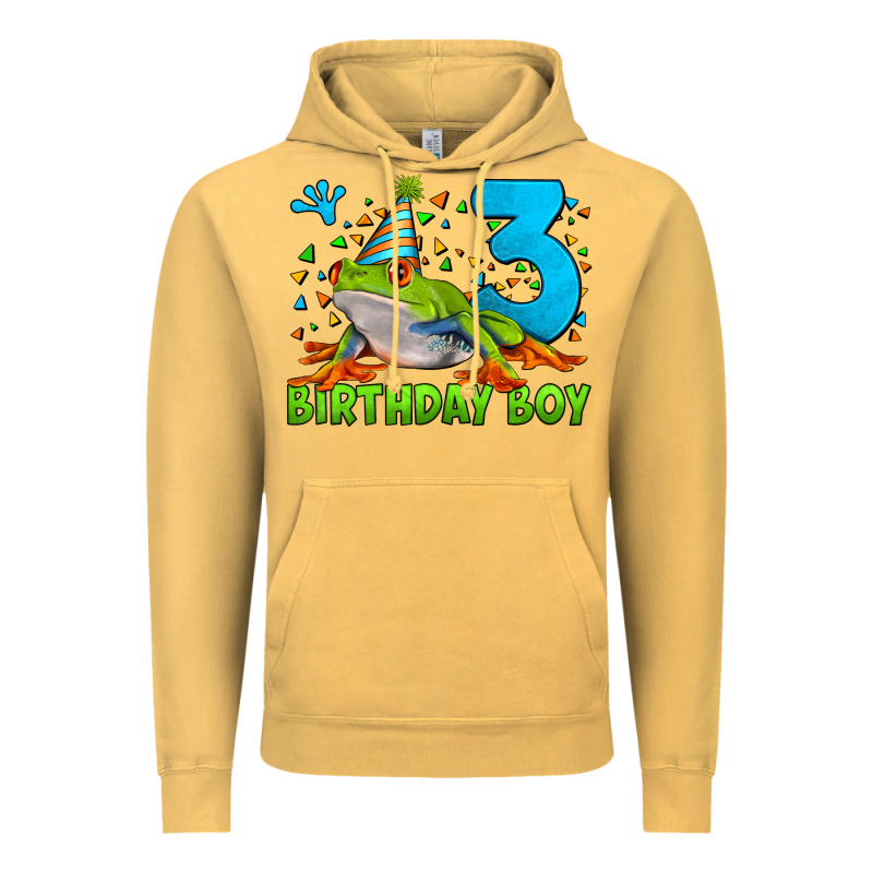 Birthday Boy Frog Age 3 Vintage Hoodie by LillyAllenDesigns | Teevron