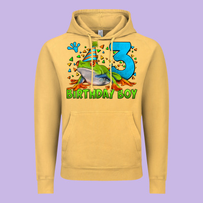 Birthday Boy Frog Age 3 Vintage Hoodie Designed By Lillyallendesigns