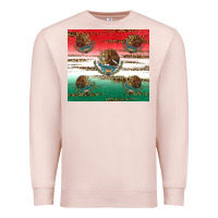 Pale Pink Mexican Flag Premium Sweatshirt - RanaPortraitStore