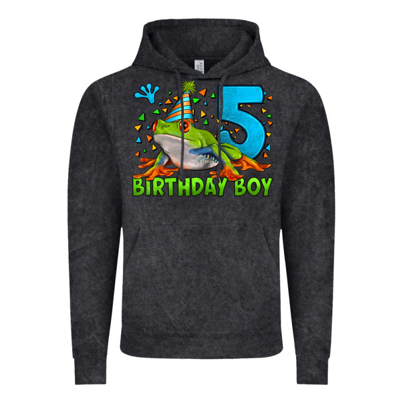 Birthday Boy Frog Age 5 Vintage Hoodie by LillyAllenDesigns | Teevron