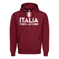 Italia Soccer Jersey Zipper Hoodie | Teevron