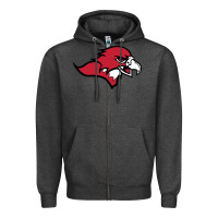 Charcoal Heather benedictine, mesa, college Zipper Hoodie - linhVisuals