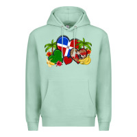 Seafoam dominican republic hearts Premium Hoodie - Artiststas