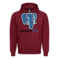 Burgundy Postgresql Zipper Hoodie - linhVisuals