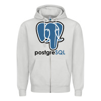 Dove Grey Postgresql Zipper Hoodie - linhVisuals