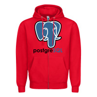 Red Postgresql Zipper Hoodie - linhVisuals