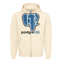 Sandshell Postgresql Zipper Hoodie - linhVisuals