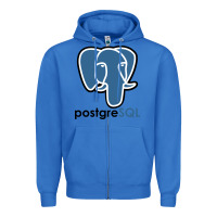 True Royal Postgresql Zipper Hoodie - linhVisuals