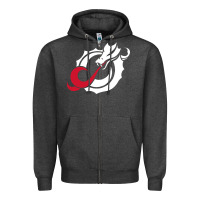 Msum Dragons, Gear Zipper Hoodie | Teevron