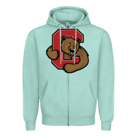 Seafoam Cornell Big Red Zipper Hoodie - linhVisuals