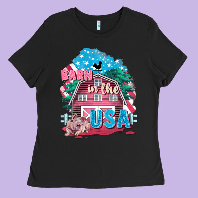 Barn In The Usa Ladies Tee Designed By Fadigitalartstudio