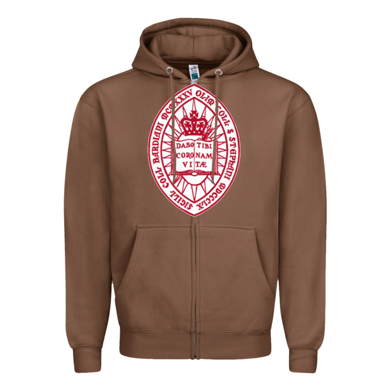 Bard College Zipper Hoodie by linhVisuals | Teevron