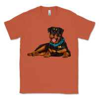 Copper rottweiler Classic Tee - Artiststas
