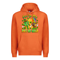Carrot you're my pot of gold Premium Hoodie - Artiststas