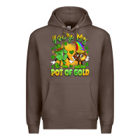 Coffee you're my pot of gold Premium Hoodie - Artiststas
