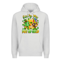 Dove Grey you're my pot of gold Premium Hoodie - Artiststas