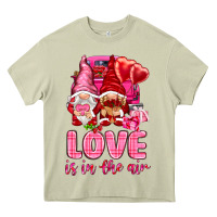 Mossy Love is in the air with gnomies Valentine's Day Heavy Core Tee - HowdyJamesFarm