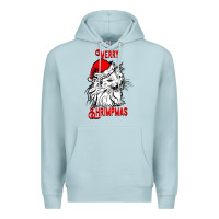 Blue Mist Merry Christmas Cat Premium Hoodie - SublimationCraftShop