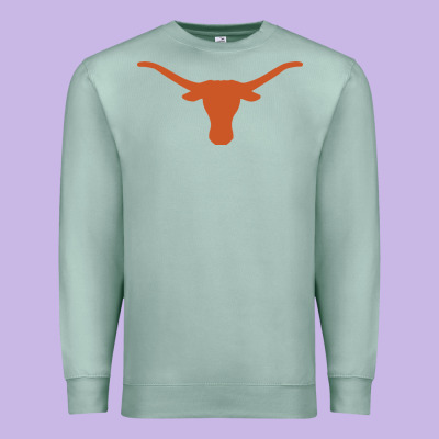 Texas Longhorns Premium Sweatshirt Designed By Designpulse