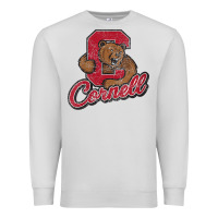 Dove Grey cornell Premium Sweatshirt - DesignPulse