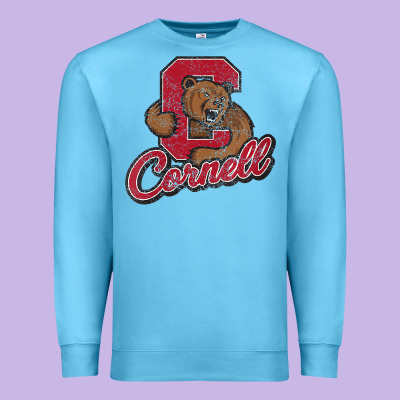 Cornell Premium Sweatshirt Designed By Designpulse