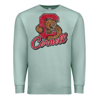 Seafoam cornell Premium Sweatshirt - DesignPulse