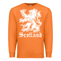 Carrot youth scotland Premium Sweatshirt - DesignPulse