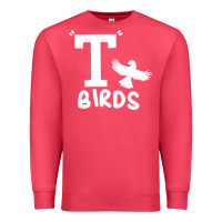 Cardinal t birds greaser thunderbirds 1970s t birds pullover hoodie Premium Sweatshirt - DesignPulse