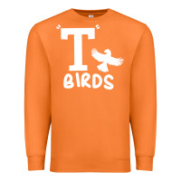 Carrot t birds greaser thunderbirds 1970s t birds pullover hoodie Premium Sweatshirt - DesignPulse