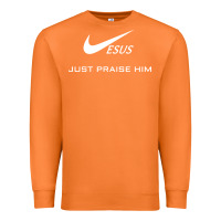 Carrot jesus just praise him Premium Sweatshirt - DesignPulse