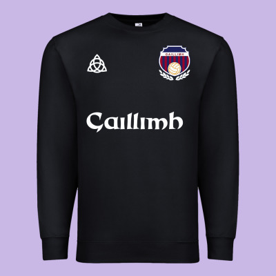 Galway Gaillimh Irish Gaelic Football And Hurling Premium Premium Sweatshirt Designed By Designpulse