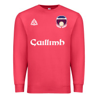 Cardinal galway gaillimh irish gaelic football and hurling premium Premium Sweatshirt - DesignPulse