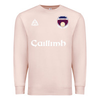 Pale Pink galway gaillimh irish gaelic football and hurling premium Premium Sweatshirt - DesignPulse