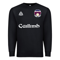 Galway Gaillimh Irish Gaelic Football And Hurling Premium Premium Sweatshirt | Teevron