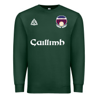 Sports Green galway gaillimh irish gaelic football and hurling premium Premium Sweatshirt - DesignPulse