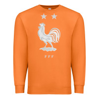 Carrot FFF Two Stars Premium Sweatshirt - DesignPulse