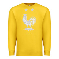 Lemon FFF Two Stars Premium Sweatshirt - DesignPulse