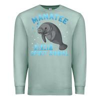 Seafoam manatee gifts Premium Sweatshirt - PixelWave