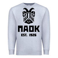 Heather Grey paok merch Premium Sweatshirt - PixelWave