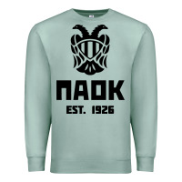 Seafoam paok merch Premium Sweatshirt - PixelWave