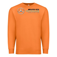 Carrot mercedis f1 Premium Sweatshirt - PixelWave
