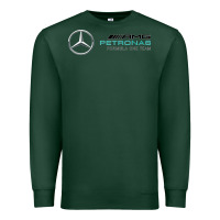 Sports Green mercedis f1 Premium Sweatshirt - PixelWave