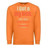 Carrot I Got a Dig Bick Funny Sarcastic Humor Premium Sweatshirt - Craftify