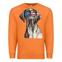 Carrot great dane sunglasses american usa flag 4th of july fourth t shirt Premium Sweatshirt - InspiraDesign