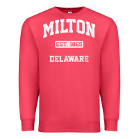 Cardinal milton delaware de vintage state athletic style t shirt Premium Sweatshirt - InspiraDesign