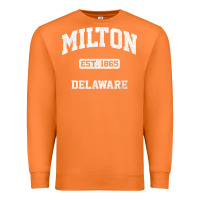 Carrot milton delaware de vintage state athletic style t shirt Premium Sweatshirt - InspiraDesign
