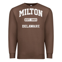 Chestnut milton delaware de vintage state athletic style t shirt Premium Sweatshirt - InspiraDesign