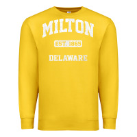 Lemon milton delaware de vintage state athletic style t shirt Premium Sweatshirt - InspiraDesign