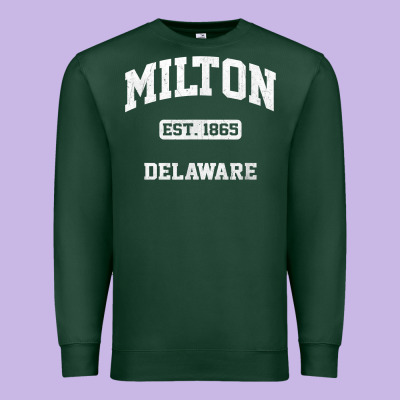Milton Delaware De Vintage State Athletic Style T Shirt Premium Sweatshirt Designed By Inspiradesign