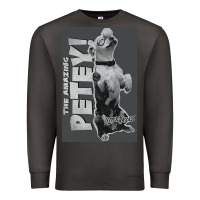 Smoke little rascals, amazing petey Premium Sweatshirt - InspiraDesign